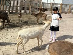 -水上乐园·欢乐世界