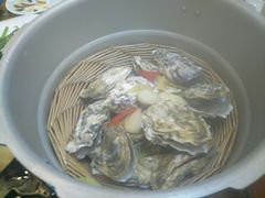 -东海章鱼馆(恒瑞街店)