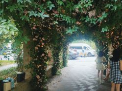 -上海瑞金洲际酒店·宴会厅