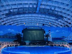 -海合安武汉极地海洋公园