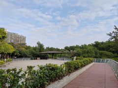 -大亚湾红树林城市湿地公园