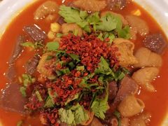 -眉州东坡(华联万柳店)