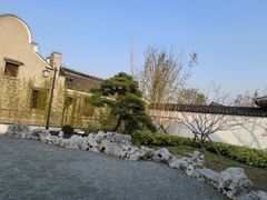 -上海滨江森林公园
