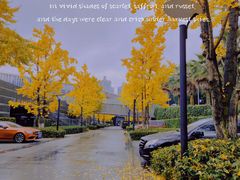 -棕榈泉国际花园1期