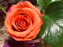 -#COFFEE(新华东街店)