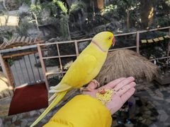 -南宫五洲植物乐园