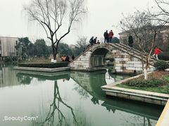 -青枫公园