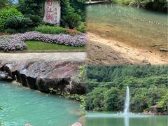 -广州白江湖森林公园