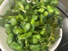 鲜豆苗-浩爷羊蝎子火锅(望京店)