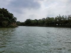 -艾溪湖湿地公园