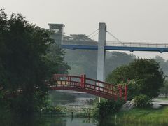 -东莞植物园