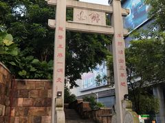 -无影脚佛山陈氏盲公丸始创店(飞鸿街店)