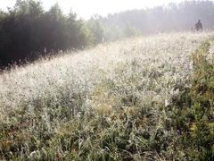 -塞罕坝国家级自然保护区