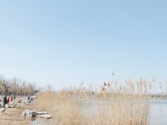 -水西公园