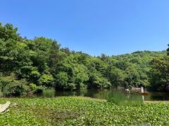 -天目湖山水园