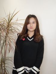 点击看大图 -YESIDO椰岛造型