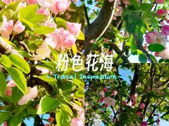 -中粮·祥云小镇