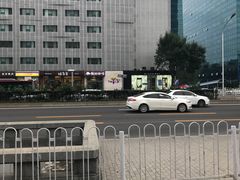 -BLACKSWAN黑天鹅(环球店)