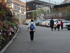 -老幺泉水鸡