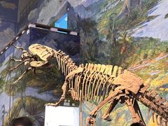 -自贡恐龙博物馆