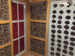 -菲拉拉漫温泉(东环路店)