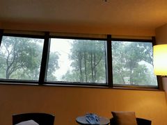 無陽台房間-上海滴水湖皇冠假日酒店