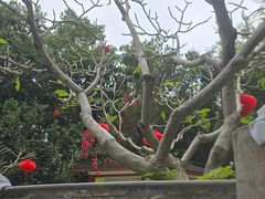 -碧水湾温泉