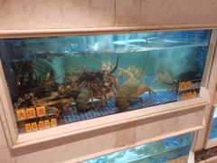 水产区-顺峰(农展馆店)