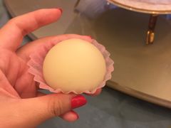 -沙龙酒家