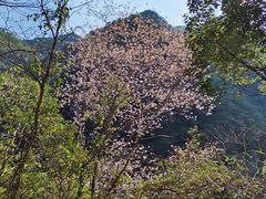 -宁波五龙潭景区