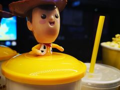 -SFC上影影城(成都科华IMAX店)