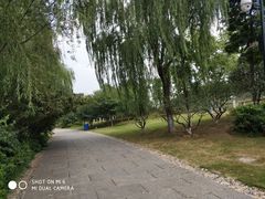 -习家池