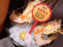 -降霜牛寿喜烧.和牛金赏Plus(501城市广场店)