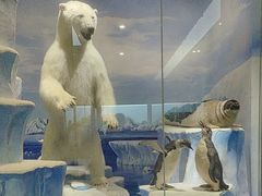 -国家自然博物馆