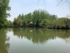 -溱湖国家湿地公园