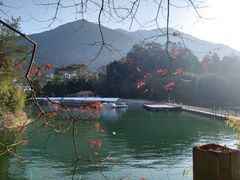 -广州市流溪河国家森林公园