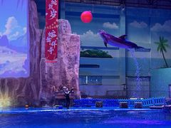 -华夏文旅海洋公园