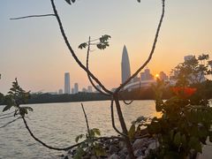 -深圳湾公园(南山区)