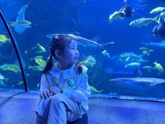 -太平洋海底世界