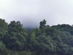 -九曲溪