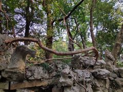 -绮园景区