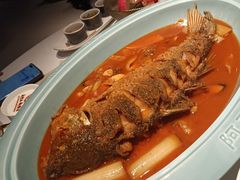 -阿五黄河大鲤鱼(英协路店)