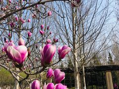 -永定河休闲森林公园