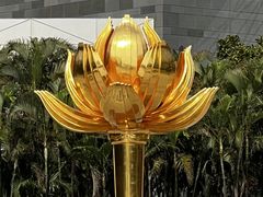 -金莲花广场