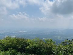-黄埔油麻山森林公园