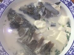 -全乐鱼馆·淳牌有机鱼直营店
