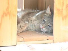 -青藏高原野生动物园