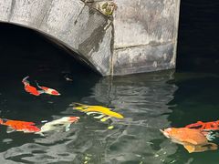 -长春观
