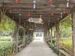 -白马涧龙池景区