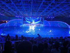 -海合安青岛极地海洋公园